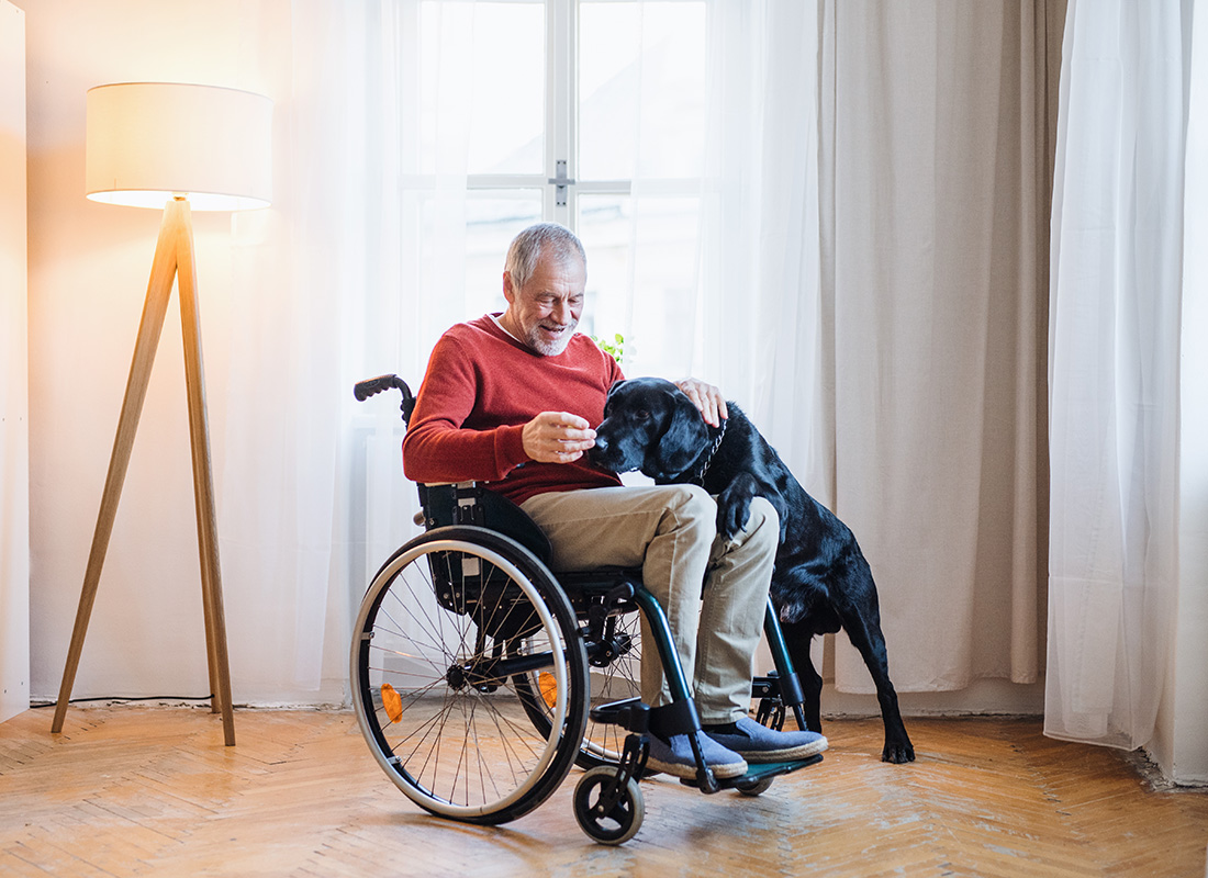 Employee Benefits - Cheerful Elderly Man Sitting in a Wheelchair in his Home While Playing with his Dog